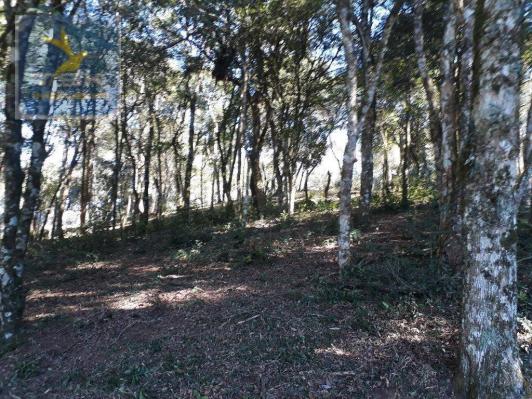 CH0143 - Quitandinha - 7.000 m² - Área para formar chácara - Foto 8