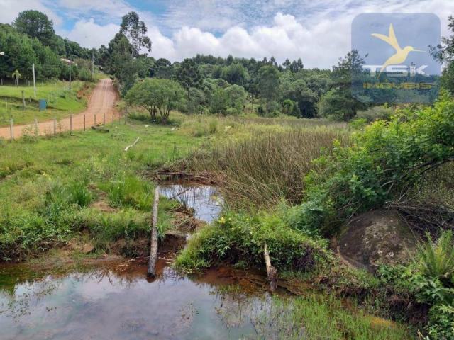 Chácara em Mandirituba - 12100 m² por R$ 210.000 - Zona Rural - Mandirituba/PR - Foto 2