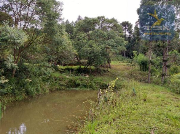 Chácara em Mandirituba - 12100 m² por R$ 210.000 - Zona Rural - Mandirituba/PR - Foto 4