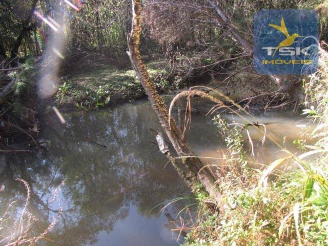 CH0252 - Agudos do Sul Chácara 10.000 m² frente asfalto 2 km da cidade - Foto 19