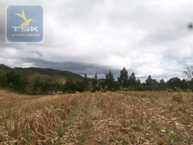 Fazenda em Quitandinha - (Cerrinho) - - Foto 3