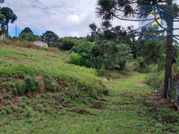Chácara em Mandirituba - 12100 m² por R$ 210.000 - Zona Rural - Mandirituba/PR - Foto 6