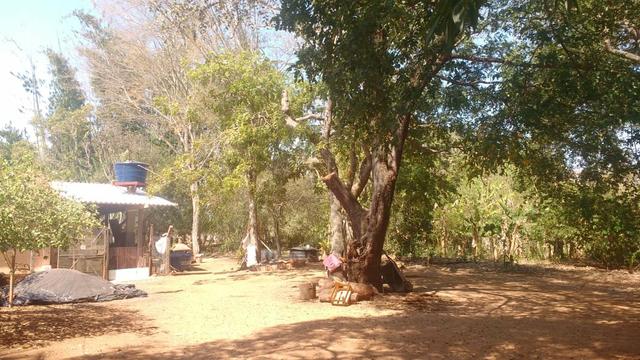 Chácara 5 ha, com Rio 70 km Campo Grande MS - Foto 10