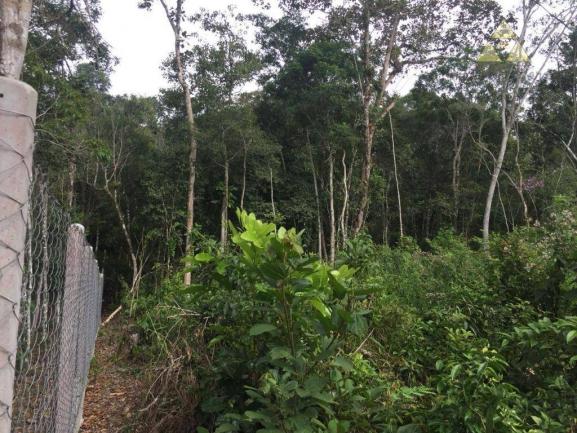 Sítio rural à venda, itajuba, barra velha. - Foto 5