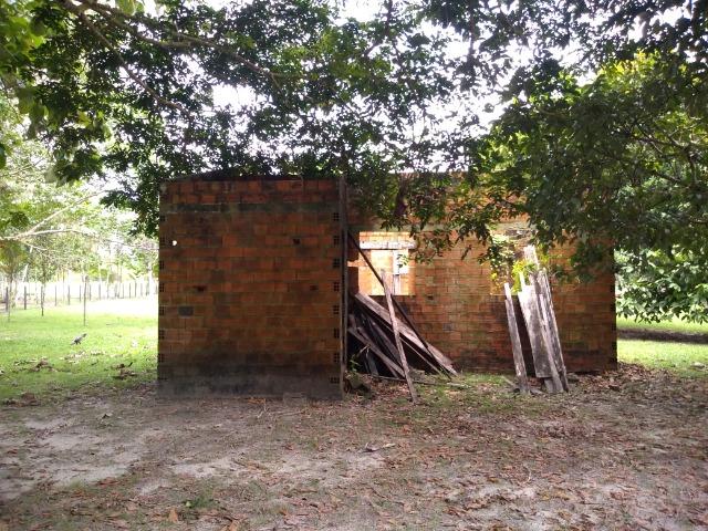 25 hectares a 55 km de Belém lindo Sitio por 200 mil reais Aceito carro na negociação - Foto 10