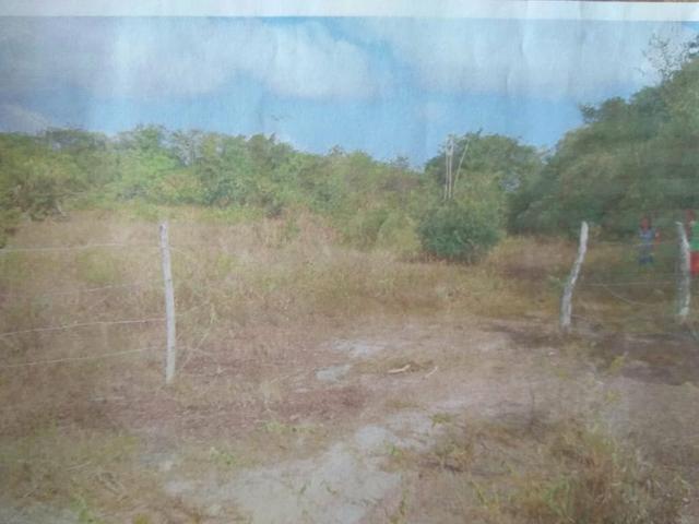 Terreno em Alcântara - Foto 6