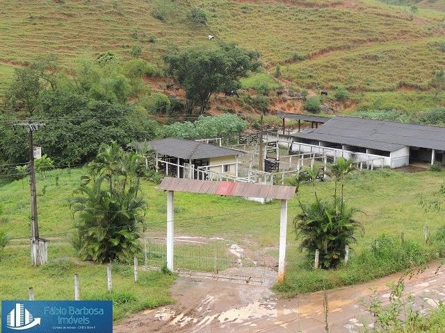 Fazenda 32,29 alq. de $ 3.571.331,05 por 2.500.000,00 - Peixe Verde - Viana - Foto 16