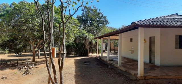 Chácara Café Sem Troco !!! 1.200.000 !!! - Foto 6