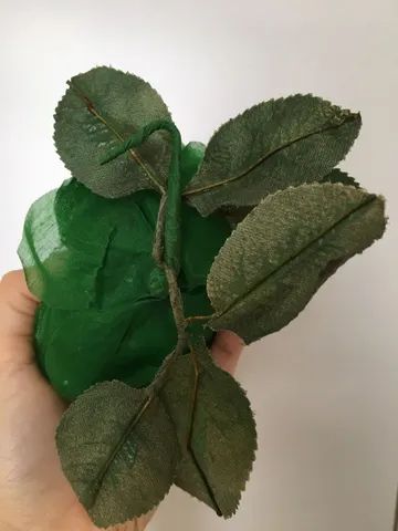 Linda flor com múltiplas utilidades!  - Foto 4