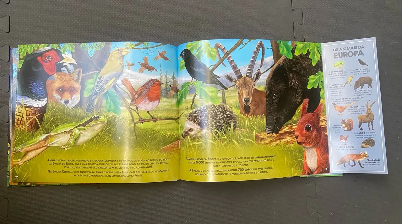 Livro Infantil - Animais do Mundo e Aventura Selvagem - Foto 2
