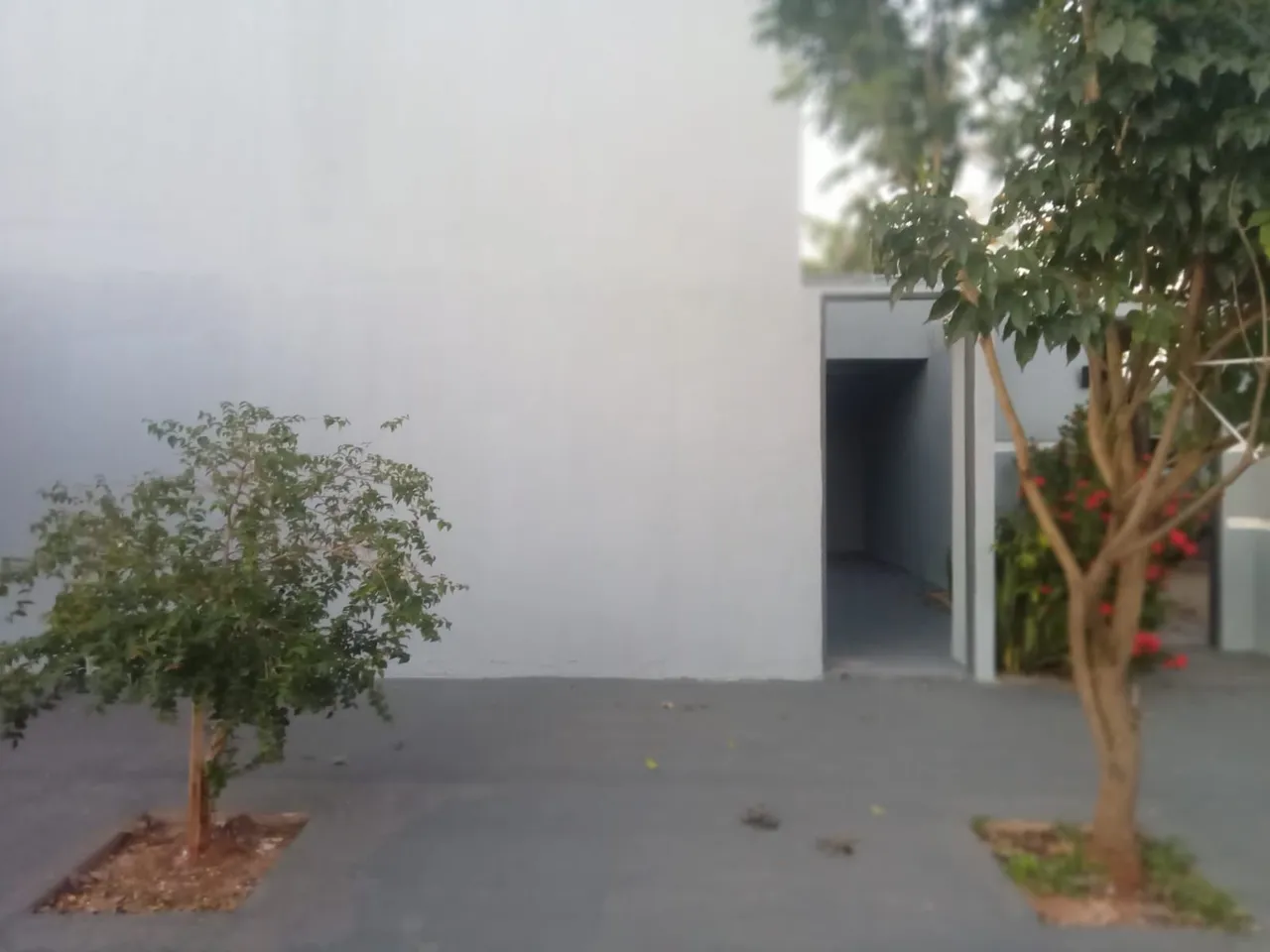 Alugo casa no Rita Vieira
