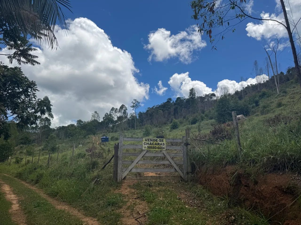 Terreno em área verde com vista espetacular - Foto 2