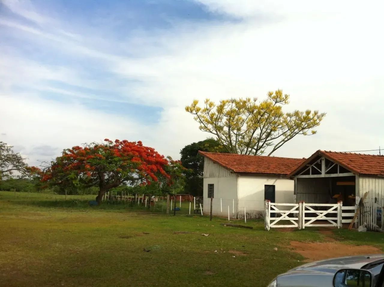 EXCELENTE FAZENDA A VENDA NA PECUÁRIA NA REGIÃO DE PRESIDENTE PRUDENTE - SP ?? Área Total: