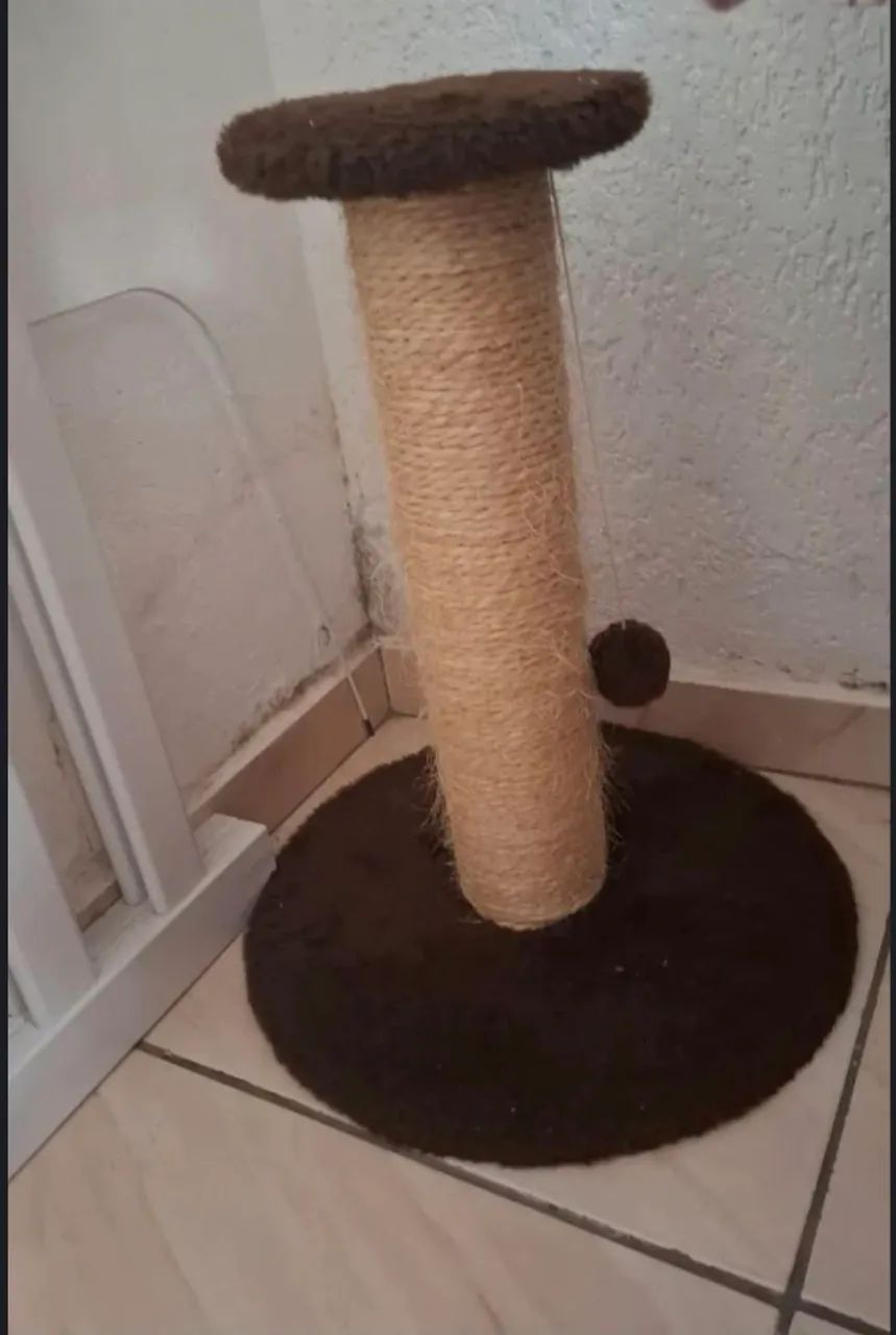 Arranhador de gato 