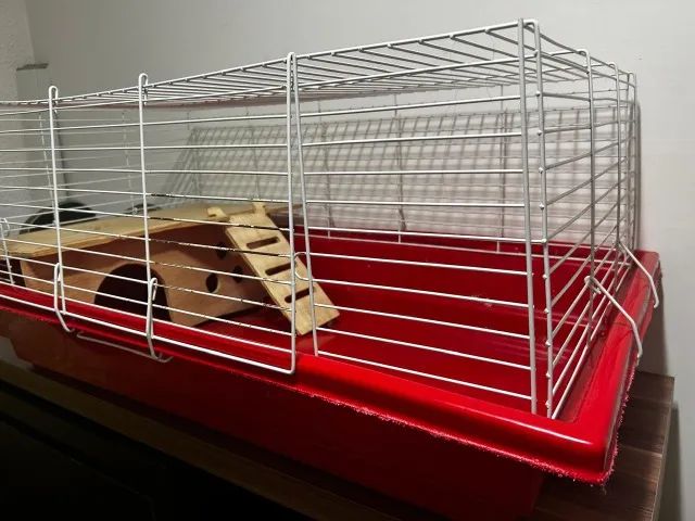 Gaiola para Coelho Bragança Vermelha - Foto 4