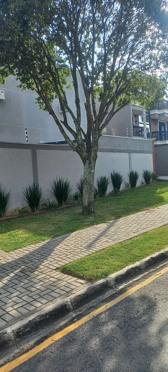 Jardinagem e paisagismo 80,00  - Foto 4