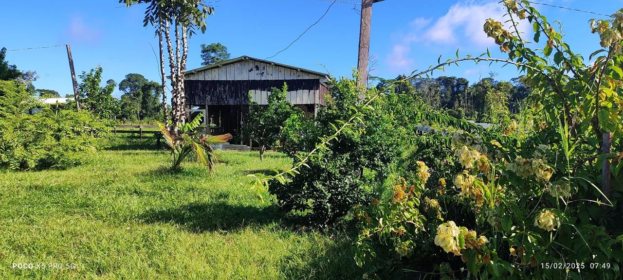 Vende se fazenda, em Porto acre com 110hec - Foto 5