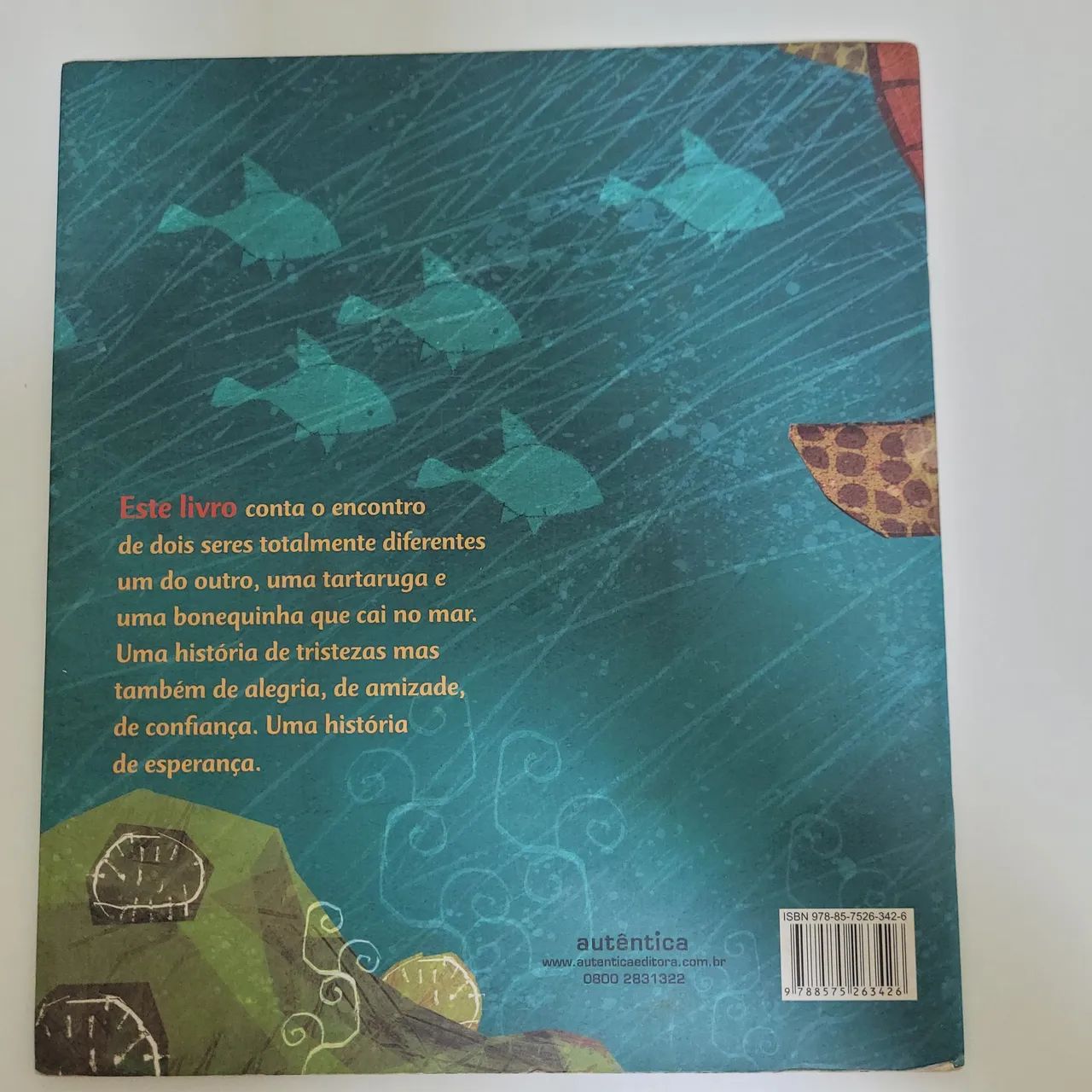 Livro A Tartaruga e a Boneca - Márcia Leite - Foto 2