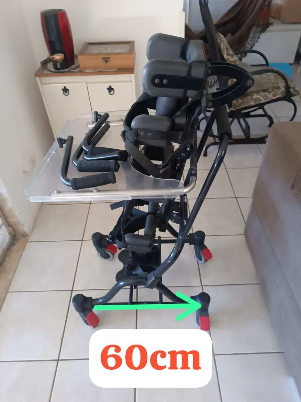 Parapodium  - Foto 2