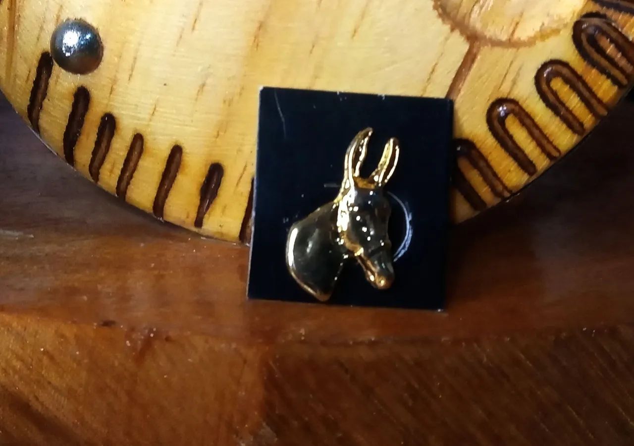 Kit Fivela Muladeiro + Broche chapéu  - Foto 2