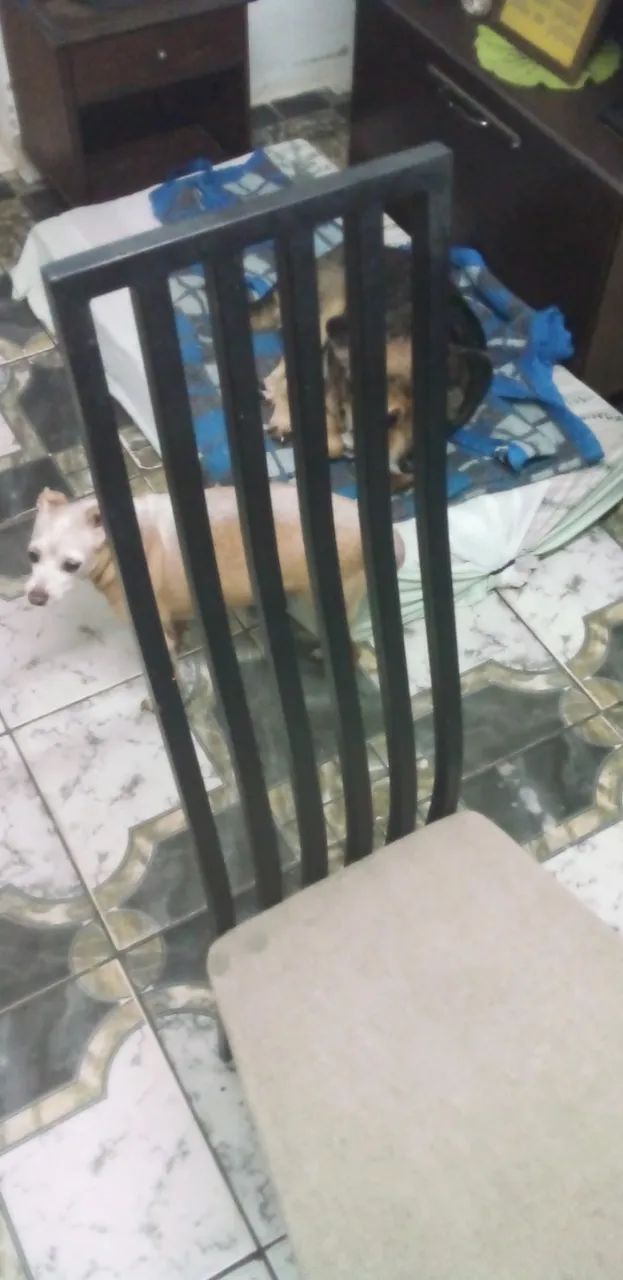 Cadeira de Ferro com assento estofado - Foto 2