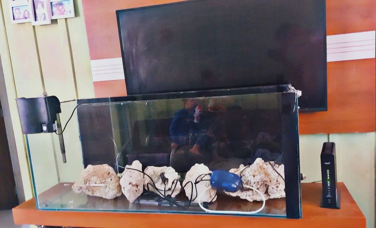 Aquário de água doce completo com acessórios - Foto 3