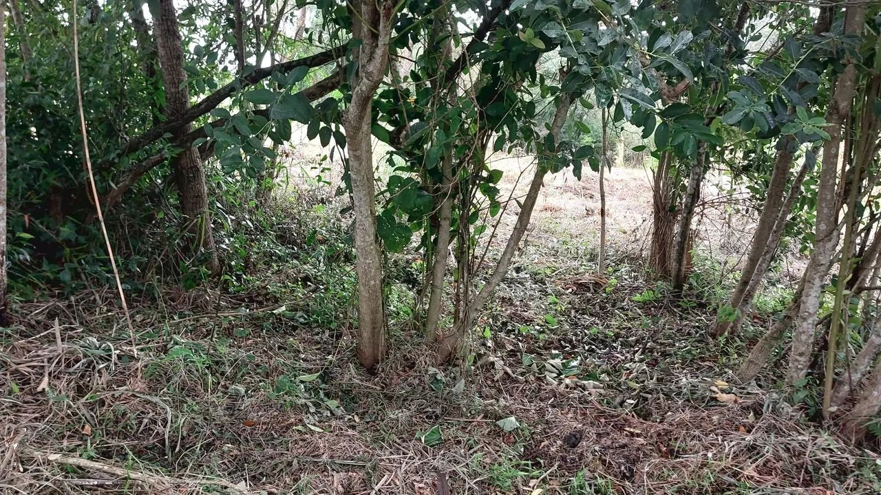 TERRENO JARDIM CANANÉIA 1.439,00 M2 - Foto 5