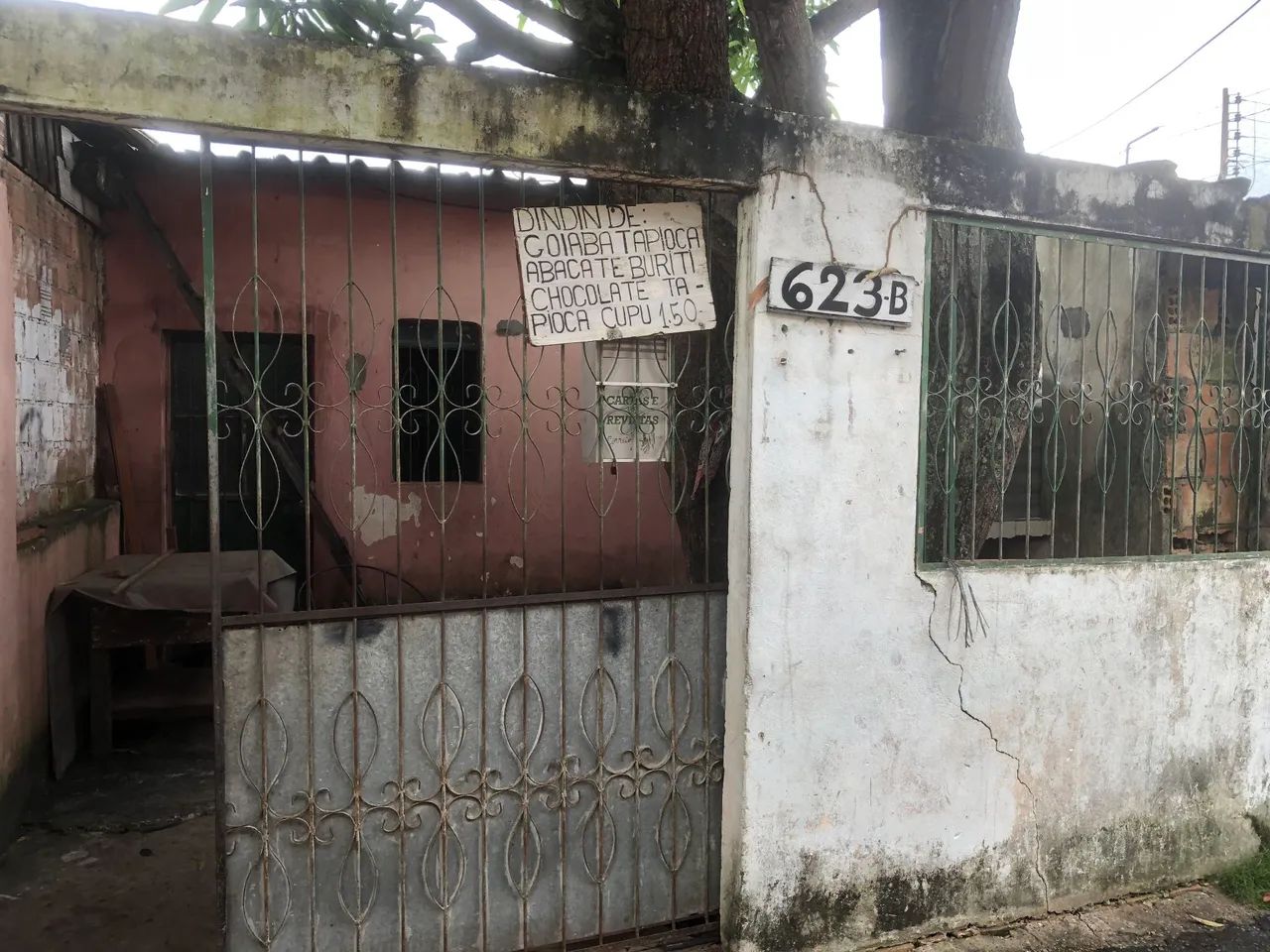 Foto - Manaus - Japiim