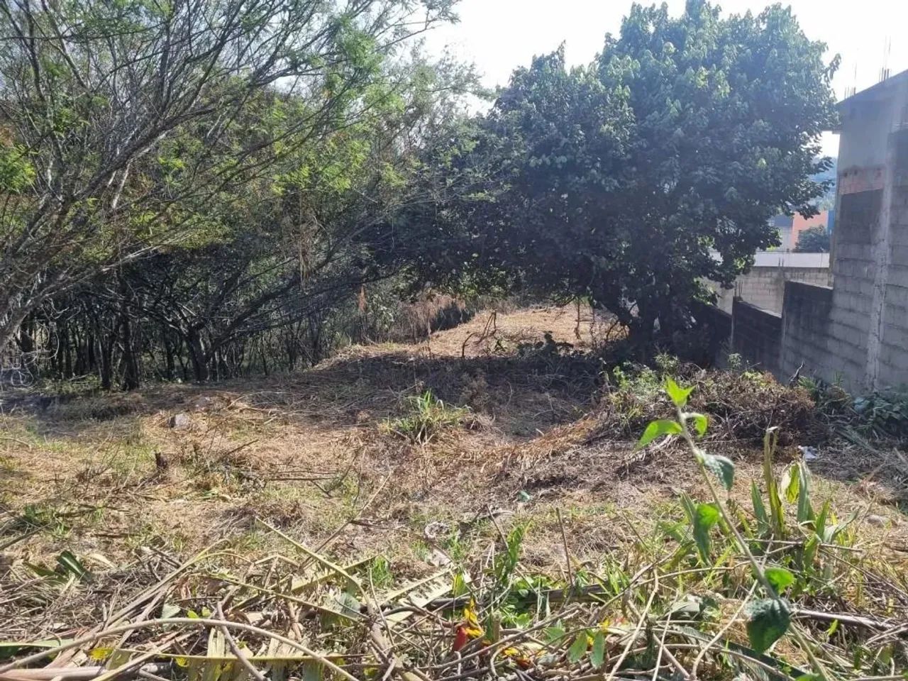área em Cotia para prédios comerciais ou residenciais - Foto 5