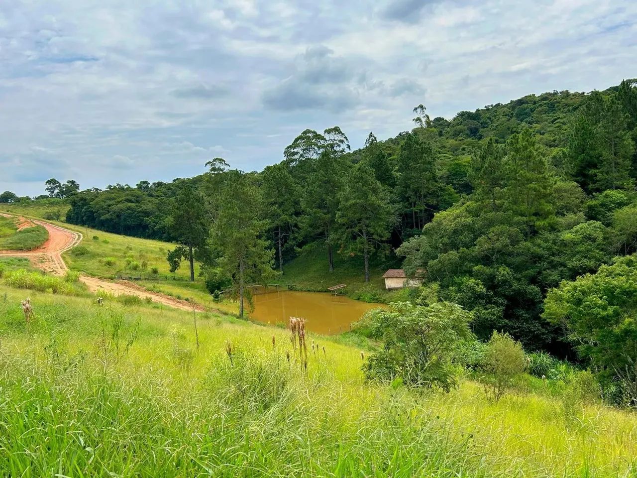 O verde que você merece - Foto 5