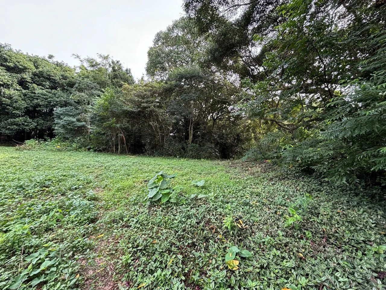 Terreno para Venda em Imbituba, IBIRAQUERA - Foto 2