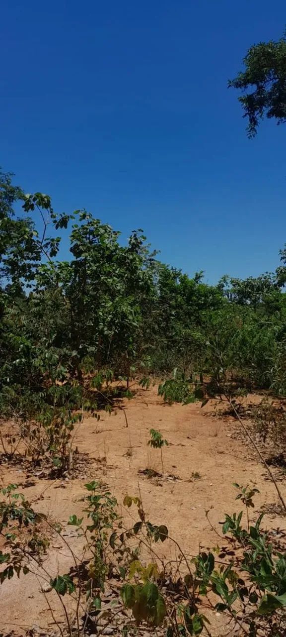 Foto - Belo Horizonte - Camargos