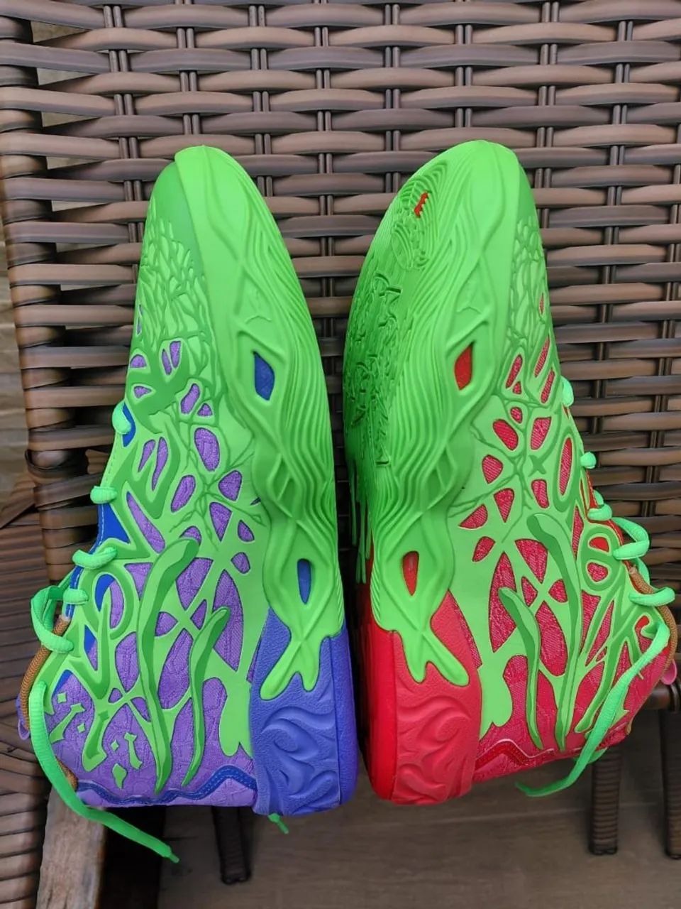 Puma turtle - Foto 2