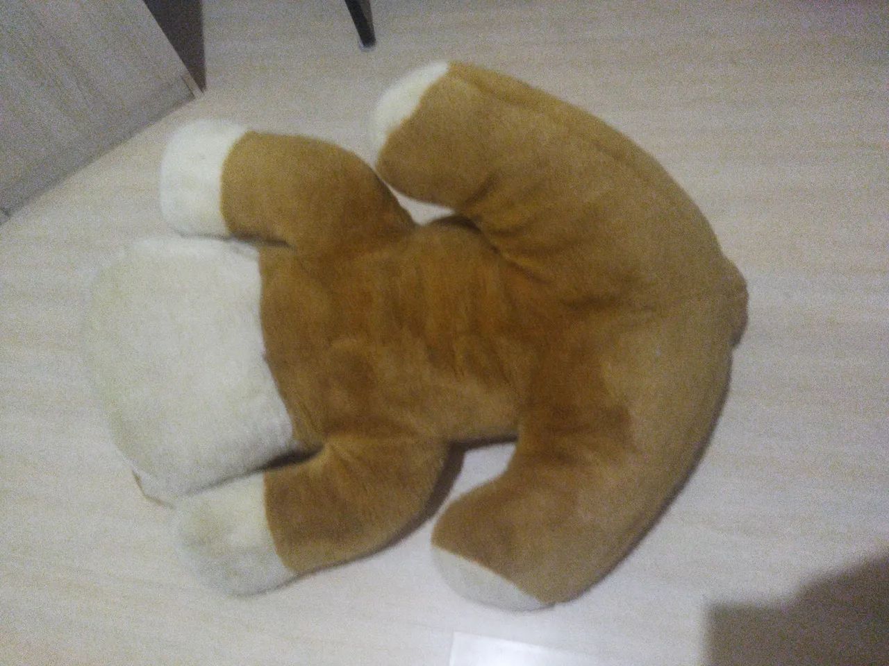 Cachorro de Pelúcia  - Foto 3