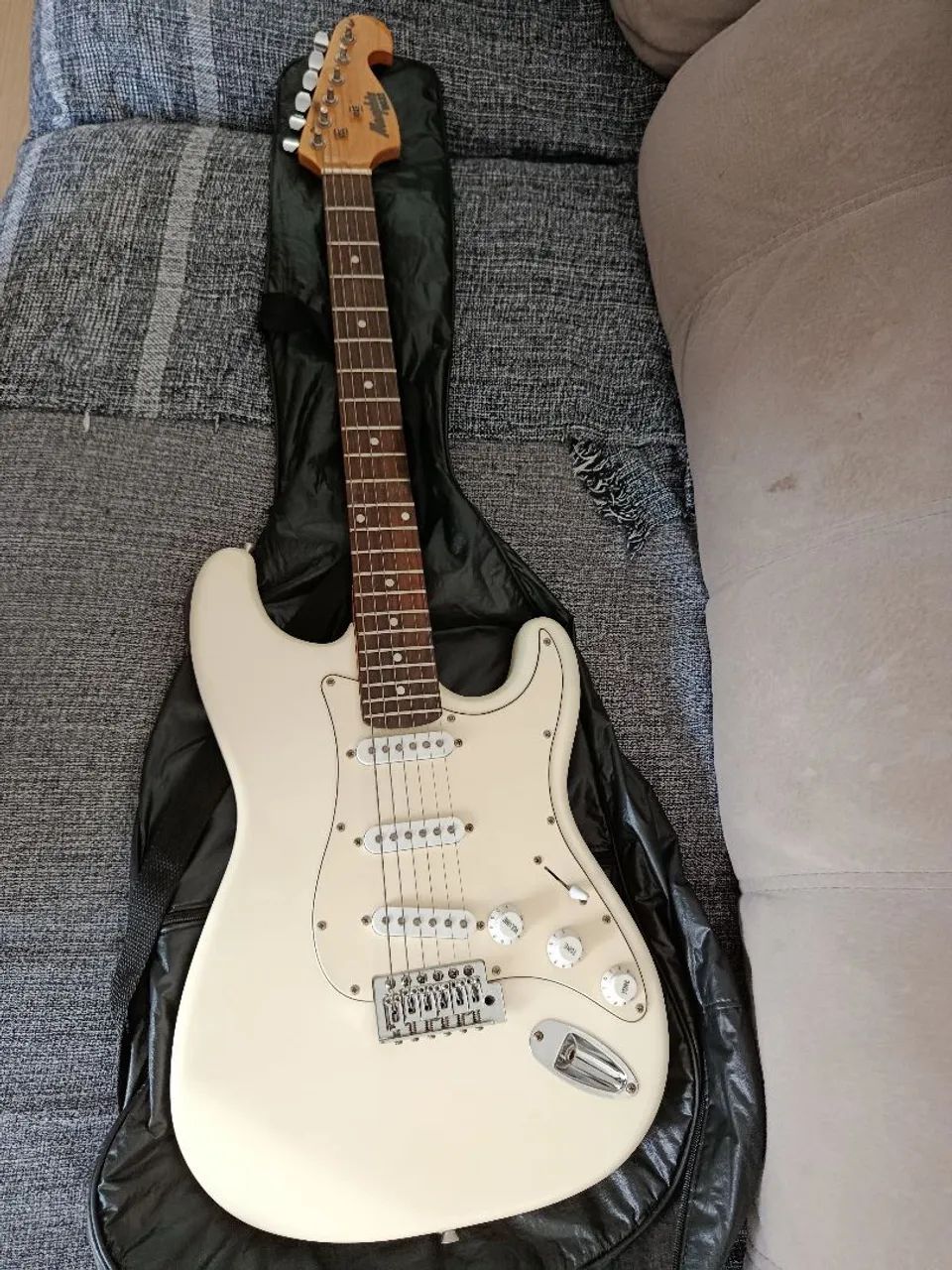 Guitarra Elétrica