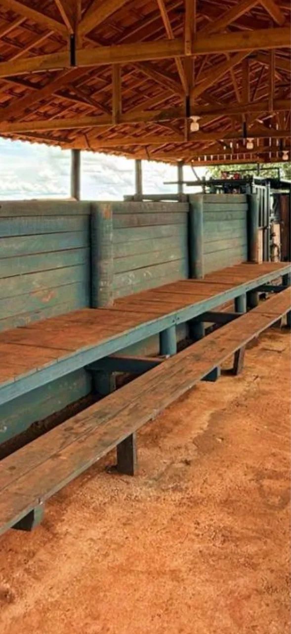 Fazenda só chega trabalhar pronta  - Foto 3