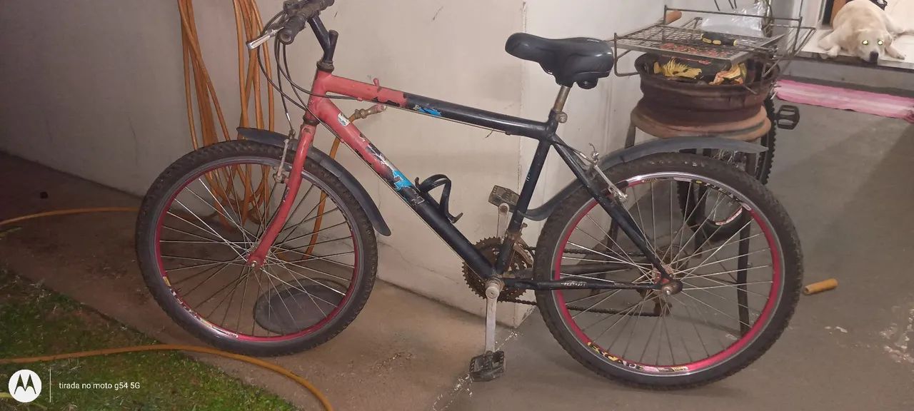 Bicleta caloi  - Foto 4