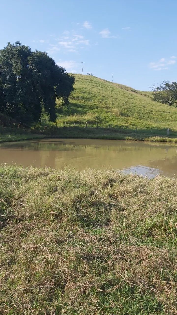 Vendo uma propriedade rural com 44 ha. - Foto 5