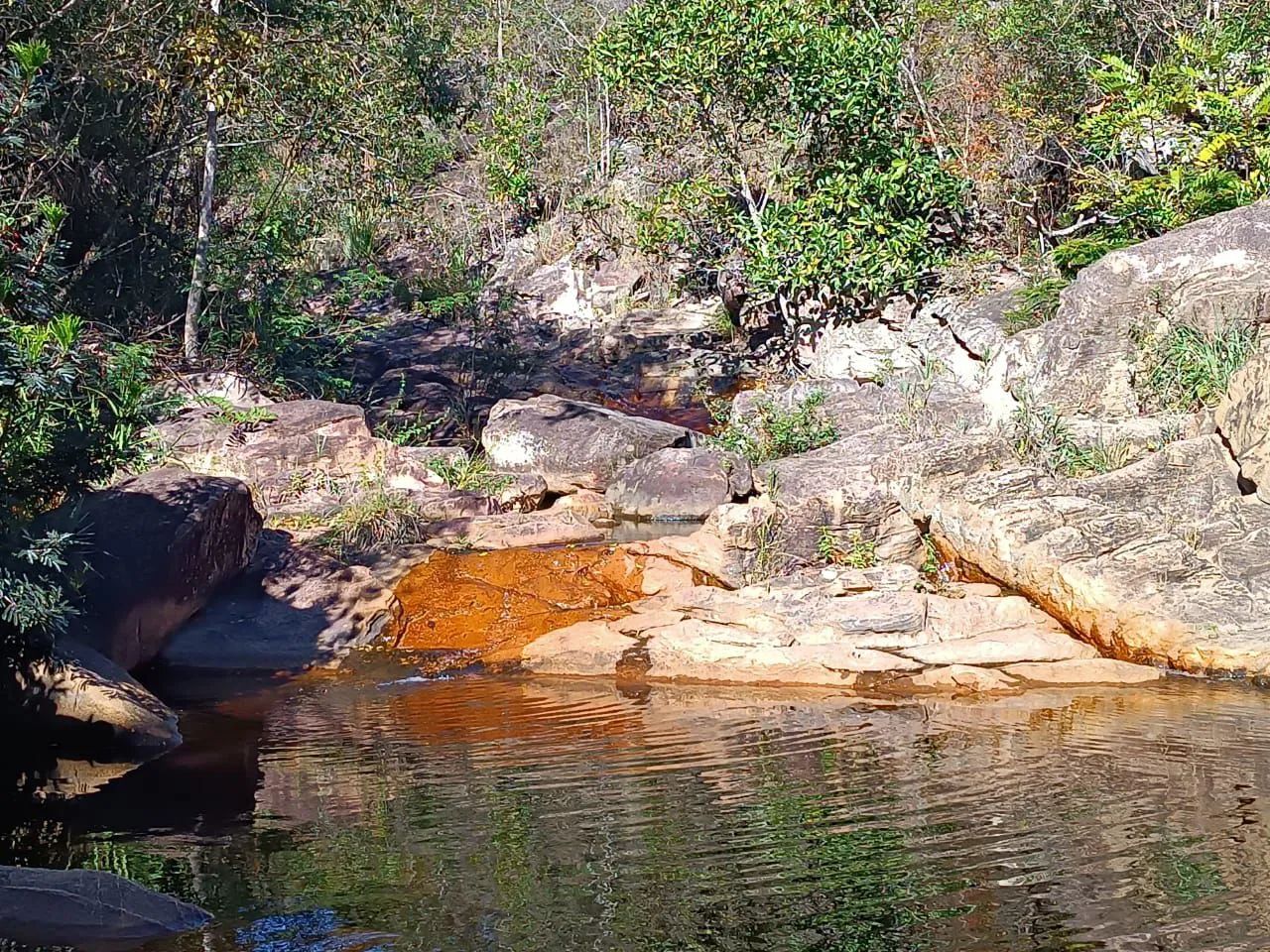 Terreno em Campos de São João  - Foto 5