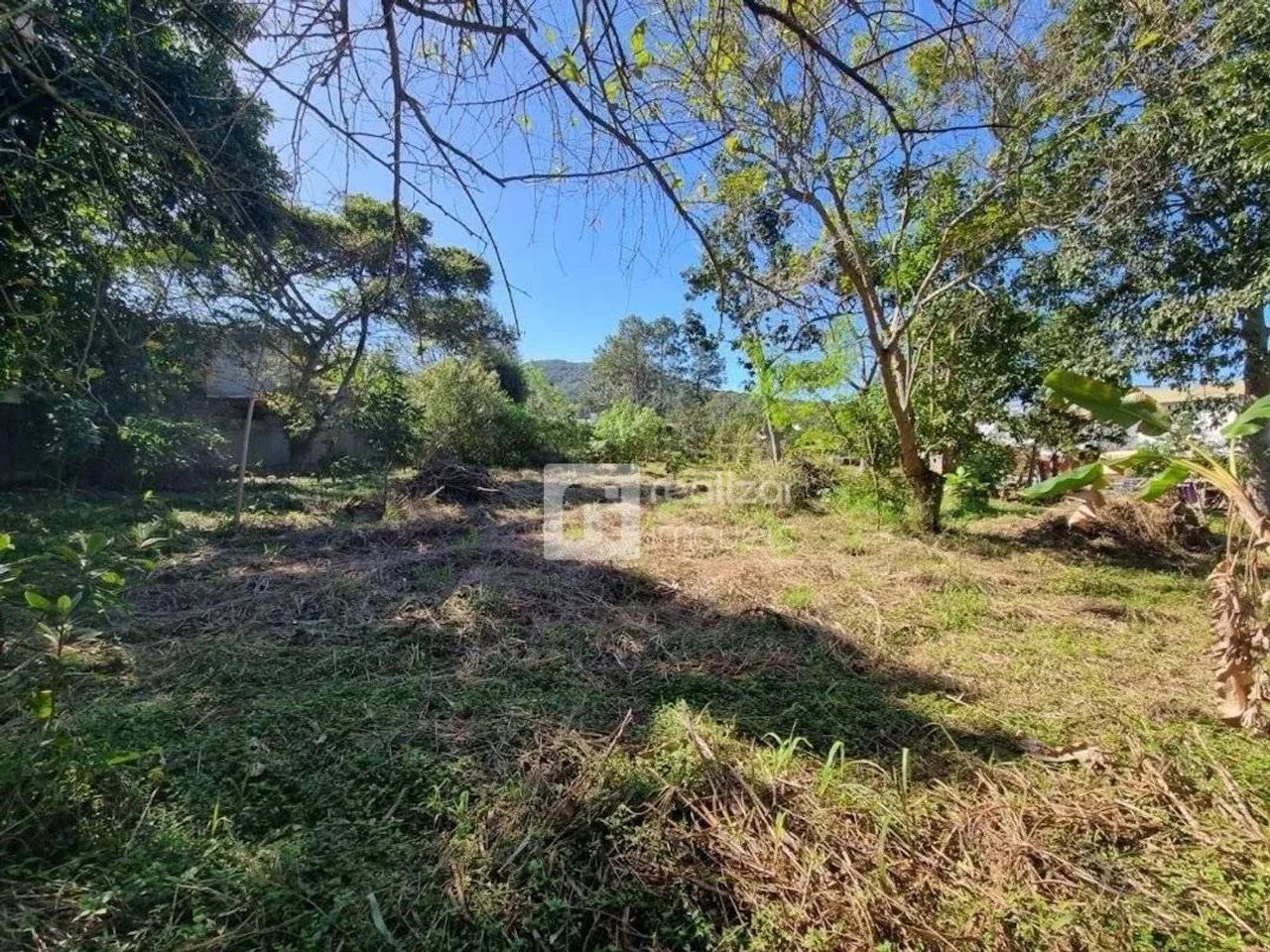 Terreno Residencial à venda, Campeche, Florianópolis - TE0031. - Foto 3