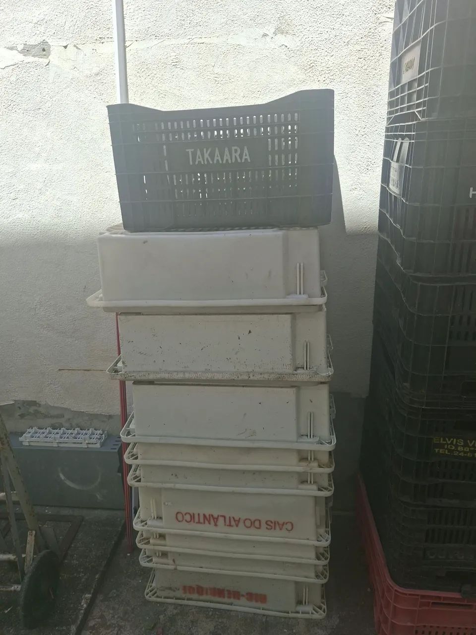 Caixas de Hortifruti, Sacolão e Monoblocos para peixes e carnes  - Foto 2