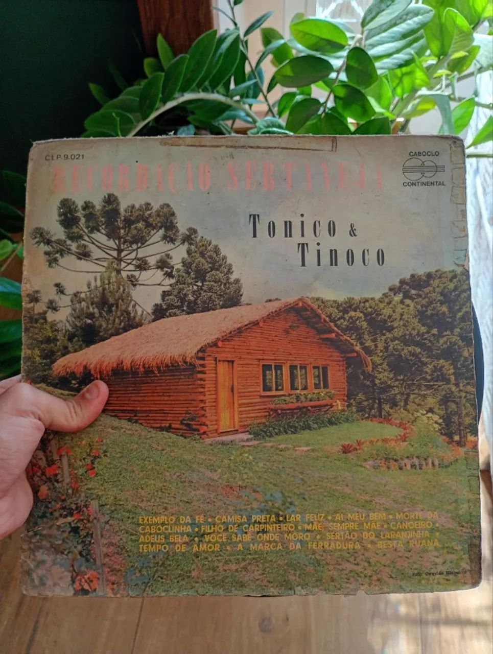 Lote de vinil - Sertanejo e Brega - 15 unidades (Tonico e Tinoco, Amado Batista ...) - Foto 2