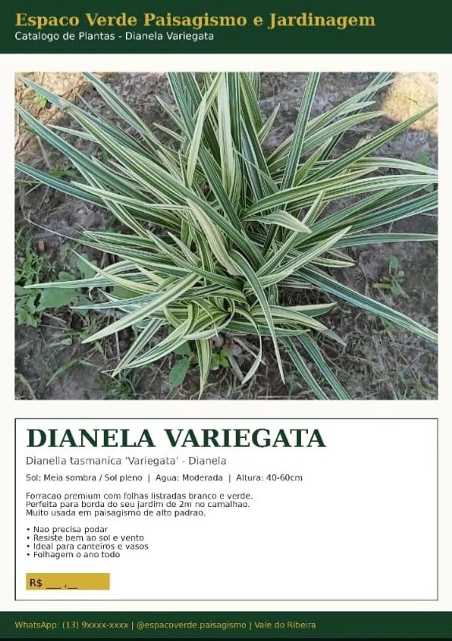 Jardineiro e jardinagem  - Foto 3