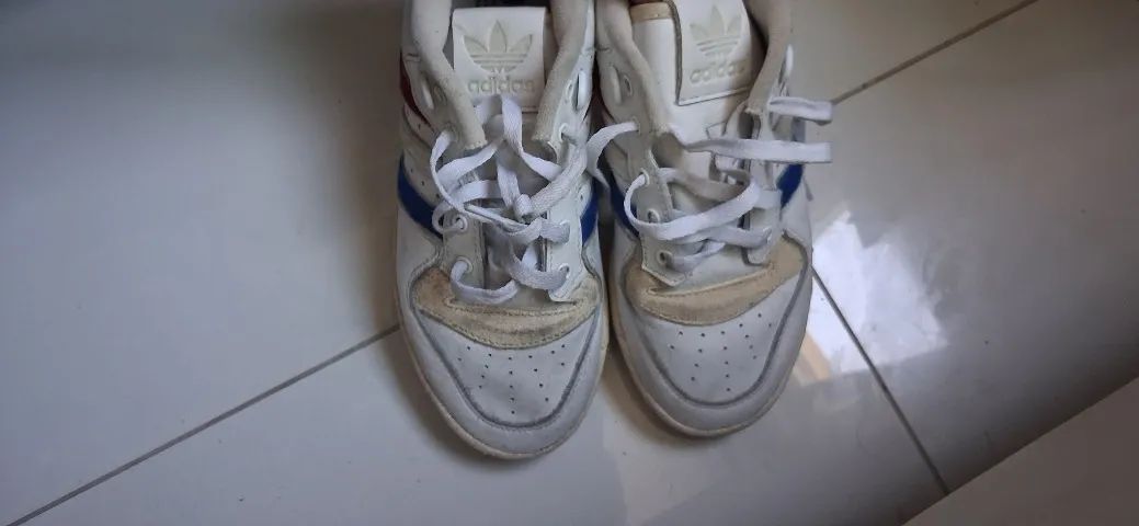 Tenis