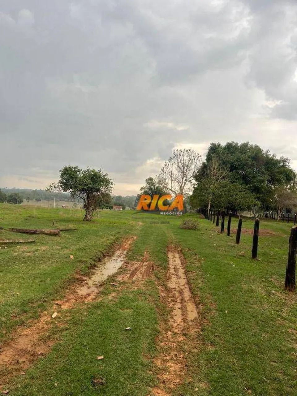 Vende-se excelente sítio em Urupá-RO - Foto 2