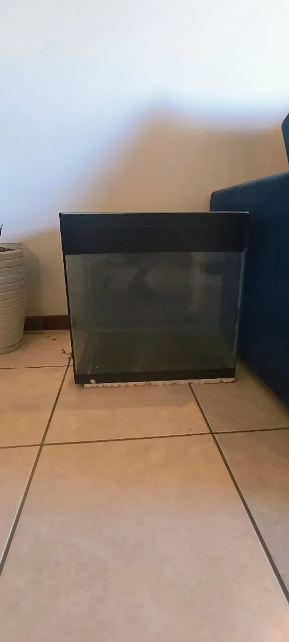 Aquário - Foto 5