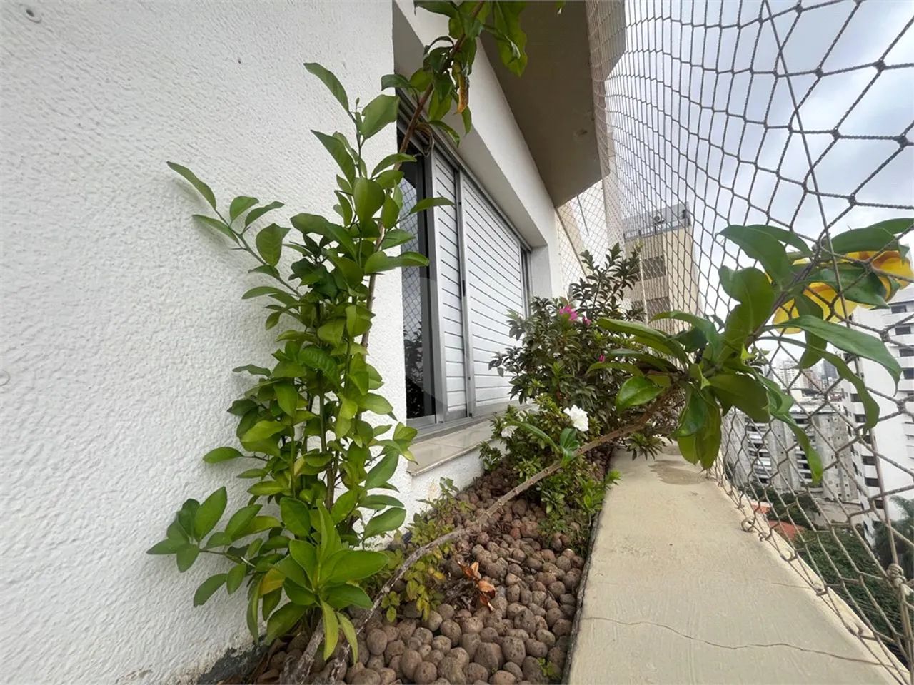 Apartamento com 3 quartos à venda em Tucuruvi - SP - Foto 5
