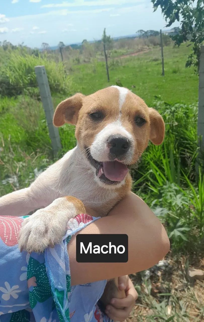 Doação 