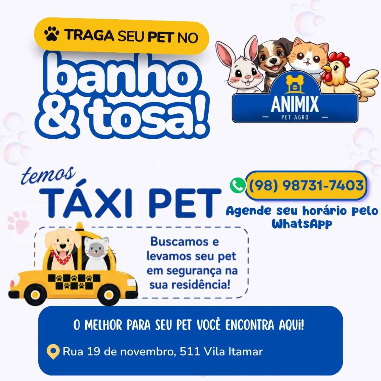 Serviço de Banho e Tosa - Táxi Pet (Cães e gatos) 
