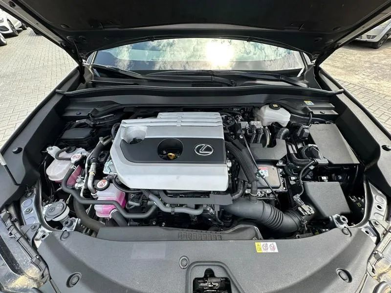 Lexus UX-250h Dynamic 2.0 16V Aut.(hybrid), foto 14 de 20